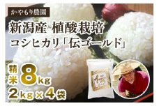 【令和6年産米】新潟産コシヒカリ「伝ゴールド」精米8kg（2kg×4）白米 真空パック 分とく山 新潟産 新潟県産 南麻布の高級料亭で提供される極上米 かやもり農園