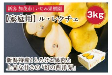【2024年】新潟特産 幻の洋梨ル・レクチェ 家庭用 約3kg （7～11玉） 《11月下旬以降、順次発送》 令和5年新潟県ル・レクチェ果実品評会「県知事賞」   果物 フルーツ 冬の味覚 産地直送加茂市 いたみ果樹園
