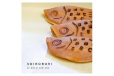 KOINOBORI 2箱セット《1箱5個入り (つぶあん3個、白あん2個) ×2箱》風物詩の「こいのぼり」 老舗和菓子店の自家製餡 菓子スイーツ 加茂市 GFGS(BBC Kamo Miyagemono Center)