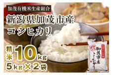 【令和7年産新米先行予約】新潟県加茂市産コシヒカリ 精米10kg（5kg×2） 《10月中旬から順次出荷 》 白米 加茂有機米生産組合