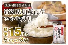 【令和7年産新米先行予約】新潟県加茂市産コシヒカリ 精米15kg（5kg×3） 《10月中旬から順次出荷 》 白米 加茂有機米生産組合