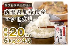 【令和7年産新米先行予約】新潟県加茂市産コシヒカリ 精米20kg（5kg×4） 《10月中旬から順次出荷 》 白米 加茂有機米生産組合