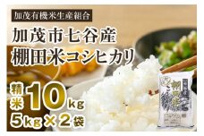 【令和7年産新米先行予約】新潟県加茂市 七谷産 棚田米コシヒカリ 精米10kg（5kg×2） 《10月中旬から順次出荷》 白米 加茂有機米生産組合