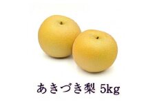 新潟県産和梨 あきづき 約5kg《9月中旬以降配送予定》 果物 フルーツギフト 秋の味覚 産地直送 加茂市 西村農園