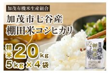 【令和7年産新米先行予約】新潟県加茂市 七谷産 棚田米コシヒカリ 精米20kg（5kg×4） 《10月中旬から順次出荷》 白米 加茂有機米生産組合