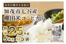 【令和7年産新米先行予約】新潟県加茂市 七谷産 棚田米コシヒカリ 精米25kg（5kg×5） 《10月中旬から順次出荷》 白米 加茂有機米生産組合