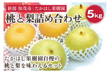 【2025年先行予約】たかはし果樹園 謹製 桃と和梨の内容おまかせ詰め合わせ 約5kg《8月中旬から発送》  新潟県産 果物 もも モモ なし ナシ フルーツギフト 秋の味覚 産地直送 加茂市 たかはし果樹園