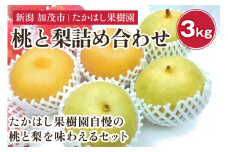 【2025年先行予約】たかはし果樹園 謹製 桃と和梨の内容おまかせ詰め合わせセット 約3kg《8月中旬から発送》 新潟県産 なし ナシ もも モモ 果物 フルーツギフト 秋の味覚 産地直送 加茂市 たかはし果樹園
