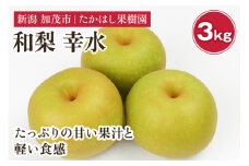 【2025年先行予約】たかはし果樹園 謹製 新潟県産和梨 幸水 約3kg《8月中旬以降配送》こうすい 果物 フルーツギフト 秋の味覚 産地直送 加茂市 たかはし果樹園