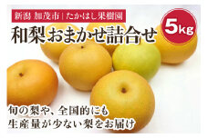 【2025年先行予約】たかはし果樹園 謹製 新潟県産和梨 内容おまかせ詰め合わせ 約5kg《9月上旬以降配送》果物 フルーツギフト セット 秋の味覚 産地直送 加茂市 たかはし果樹園