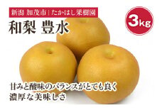 【2025年先行予約】 たかはし果樹園 謹製 新潟県産和梨 豊水 約3kg《9月上旬以降配送》ほうすい 果物 フルーツギフト 秋の味覚 産地直送 加茂市 たかはし果樹園