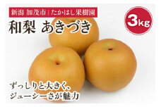 【2025年先行予約】たかはし果樹園 謹製 新潟県産和梨 あきづき 約3kg《9月中旬以降配送》 果物 フルーツギフト 秋の味覚 産地直送 加茂市 たかはし果樹園