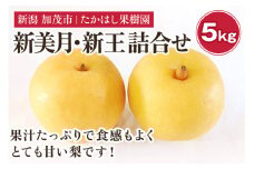 【2025年先行予約】たかはし果樹園 謹製 新潟県産和梨 新美月 新王 2品種詰め合わせ 約5kg《9月下旬以降配送》果物 フルーツギフト 秋の味覚 産地直送 加茂市 たかはし果樹園