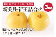 【2025年先行予約】たかはし果樹園 謹製 新潟県産和梨 新美月 新王 2品種詰め合わせ 約3kg《9月下旬以降配送》果物 フルーツギフト 秋の味覚 産地直送 加茂市 たかはし果樹園