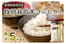 【令和7年産新米先行予約】新潟県加茂市産 特別栽培米コシヒカリ 精米5kg 《10月中旬から順次出荷》 白米 従来品種コシヒカリ 加茂有機米生産組合