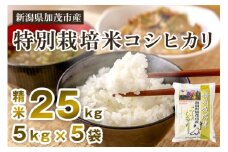 【令和7年産新米先行予約】新潟県加茂市産 特別栽培米コシヒカリ 精米25kg（5kg×5） 《10月中旬から順次出荷》 白米 従来品種コシヒカリ 加茂有機米生産組合