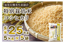 【令和6年産米】新潟県加茂市産 特別栽培米コシヒカリ 玄米25kg（5kg×5）従来品種コシヒカリ 加茂有機米生産組合