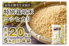 【令和6年産新米】新潟県加茂市産 特別栽培米コシヒカリ 玄米20kg（5kg×4）従来品種コシヒカリ 加茂有機米生産組合