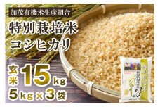 【令和6年産新米】新潟県加茂市産 特別栽培米コシヒカリ 玄米15kg（5kg×3）従来品種コシヒカリ 加茂有機米生産組合