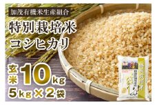 【令和6年産米】新潟県加茂市産 特別栽培米コシヒカリ 玄米10kg（5kg×2）従来品種コシヒカリ 加茂有機米生産組合