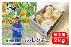 【2024年】新潟特産 幻の洋梨ル・レクチェ 贈答用 2kg（5〜7玉）《11月下旬から出荷》ルレクチェ 西洋梨 新潟県産 ギフト 果物 フルーツギフト 冬の味覚 産地直送 加茂市 青柳果樹園