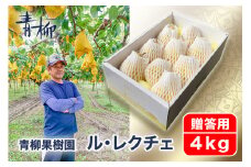 【2024年】新潟特産 幻の洋梨ル・レクチェ 贈答用 4kg（9〜11玉）《11月下旬から出荷》ルレクチェ 西洋梨 ギフト 新潟県産 特産 果物 フルーツギフト 冬の味覚 産地直送加茂市 青柳果樹園