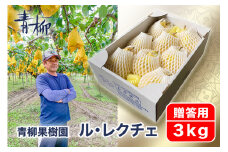 【2024年】新潟特産 幻の洋梨ル・レクチェ 贈答用 3kg（7〜9玉）《11月下旬から出荷》ルレクチェ ギフト 新潟県 特産 ギフト 果物 フルーツギフト 冬の味覚 産地直送加茂市 青柳果樹園