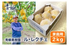【2024年】新潟特産 幻の洋梨ル・レクチェ 家庭用 2kg（5〜7玉）《11月下旬から出荷》ルレクチェ 西洋梨 新潟県産 新潟産 果物 フルーツ 冬の味覚 産地直送加茂市 青柳果樹園