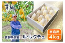 【2024年】新潟特産 幻の洋梨ル・レクチェ 家庭用 4kg（9〜11玉）《11月下旬から出荷》ルレクチェ 西洋梨 果物 フルーツ 冬の味覚 産地直送加茂市 青柳果樹園