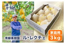 【2024年】新潟特産 幻の洋梨ル・レクチェ 家庭用 3kg（7〜9玉）《11月下旬から出荷》ルレクチェ 西洋梨 新潟県 新潟産 果物 フルーツ 冬の味覚 産地直送加茂市 青柳果樹園