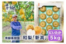 【2025年先行予約】青柳果樹園の和梨 新高 5kg(6～9玉)《10月上旬から出荷》にいたか フルーツギフト 加茂市 青柳果樹園