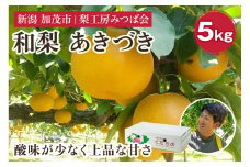 【2025年先行予約】新潟県産 和梨 あきづき 5kg（10～16玉） 《9月中旬以降発送》果物 フルーツギフト 秋の味覚 加茂市 梨工房みつば会