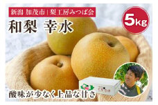 【2025年先行予約】新潟県産 和梨 幸水 5kg（12～18玉） 《8月中旬以降発送》こうすい 果物 フルーツギフト 秋の味覚 加茂市 梨工房みつば会