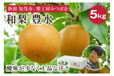 【2025年先行予約】新潟県産 和梨 豊水 5kg（10～16玉） 《9月上旬以降発送》ほうすい 果物 フルーツギフト 秋の味覚 加茂市 梨工房みつば会