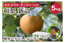 【2025年先行予約】新潟県産 和梨 新高 5kg（6～9玉） 《10月上旬以降発送》にいたか 果物 フルーツギフト 秋の味覚 加茂市 梨工房みつば会