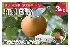 【2025年先行予約】新潟県産 和梨 新高 3kg（4～5玉） 《10月上旬以降発送》にいたか 果物 フルーツギフト 秋の味覚 加茂市 梨工房みつば会