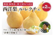 【2024年】新潟特産 幻の洋梨ル・レクチェ 【家庭用】2Kg（5～7玉）《11月下旬以降発送》果物 フルーツギフト 秋の味覚 加茂市 梨工房みつば会