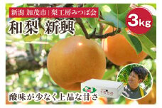 【2025年先行予約】新潟県産 和梨 新興 3kg（5～7玉） 《10月下旬以降発送》しんこう 果物 フルーツギフト 秋の味覚 加茂市 梨工房みつば会