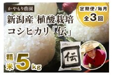 【令和7年産新米】【定期便3回毎月お届け】新潟産コシヒカリ「伝」白米真空パック 精米5kg 《9月下旬～順次出荷》 南麻布の高級料亭で提供される極上米 かやもり農園 定期便