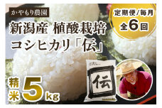 【定期便6ヶ月毎月お届け】新潟産コシヒカリ「伝」白米真空パック 精米5kg 南麻布の高級料亭で提供される極上米 かやもり農園