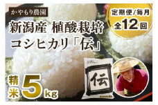 【定期便12ヶ月毎月お届け】新潟産コシヒカリ「伝」白米真空パック 精米5kg 南麻布の高級料亭で提供される極上米 かやもり農園 定期便