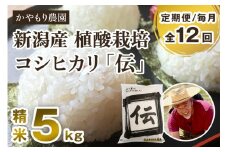 【令和7年産新米】【定期便12ヶ月毎月お届け】新潟産コシヒカリ「伝」白米真空パック 精米5kg 《9月下旬～順次出荷》 南麻布の高級料亭で提供される極上米 かやもり農園 定期便