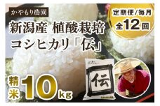 【定期便12ヶ月毎月お届け】新潟産コシヒカリ「伝」白米真空パック 精米10kg（5kg×2）南麻布の高級料亭で提供される極上米 かやもり農園 定期便