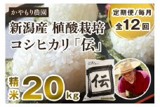 【定期便12ヶ月毎月お届け】新潟産コシヒカリ「伝」白米真空パック 精米20kg（5kg×4）南麻布の高級料亭で提供される極上米 かやもり農園 定期便
