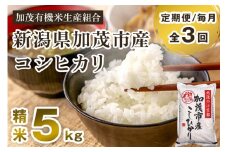 【令和7年産新米先行予約】【定期便3回毎月お届け】新潟県加茂市産コシヒカリ 精米5kg 《10月中旬から順次出荷 》 白米 加茂有機米生産組合 定期便