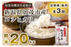 【令和7年産新米先行予約】【定期便3回毎月お届け】新潟県加茂市産コシヒカリ 精米20kg（5kg×4） 《10月中旬から順次出荷 》 白米 加茂有機米生産組合 定期便