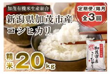 【令和7年産新米先行予約】【定期便3回隔月お届け】新潟県加茂市産コシヒカリ 精米20kg（5kg×4）《10月中旬から順次出荷》白米 加茂有機米生産組合 定期便