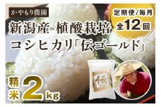 【定期便12ヶ月毎月お届け】新潟産コシヒカリ「伝ゴールド」白米真空パック 精米2kg 南麻布の高級料亭で提供される極上米 かやもり農園 定期便