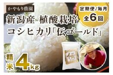 【定期便6ヶ月毎月お届け】新潟産コシヒカリ「伝ゴールド」白米真空パック 精米4kg（2kg×2）南麻布の高級料亭で提供される極上米 かやもり農園 定期便