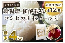 【定期便12ヶ月毎月お届け】新潟産コシヒカリ「伝ゴールド」白米真空パック 精米4kg（2kg×2）南麻布の高級料亭で提供される極上米 かやもり農園 定期便